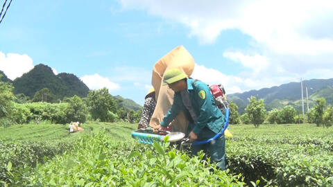 Phát triển kinh tế có chọn lọc – điểm sáng trong thực hiện Nghị quyết Đại hội Đảng bộ xã Sùng Phài
