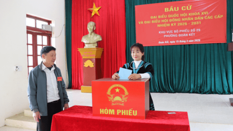 TƯỜNG THUẬT NGÀY BẦU CỬ: 29/48 tổ bầu cử hoàn thành 100% số cử tri tham gia bỏ phiếu